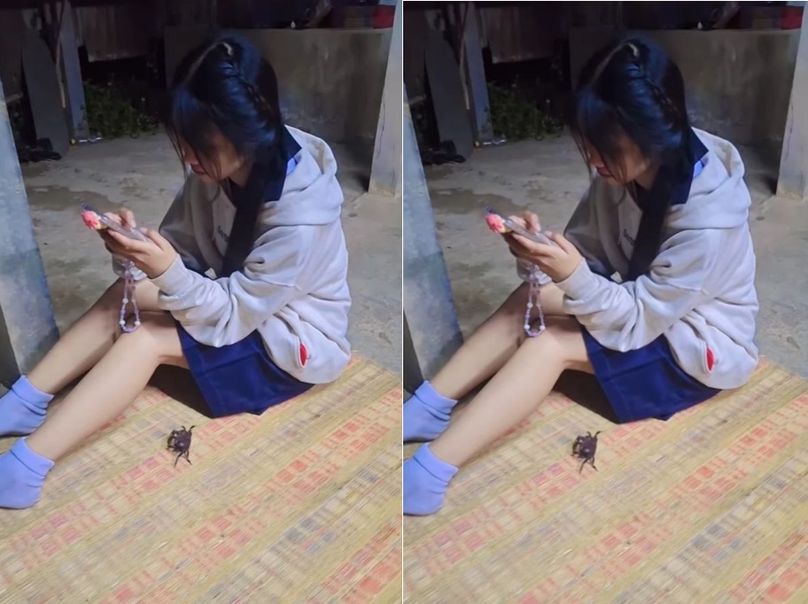 Tối Sang Nhà Bạn Gái Việt Nam, Chủ Yếu Đè Nhau Ra Nện - không che